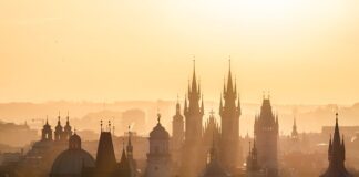 Jakie są cele marki?
