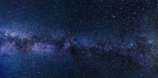 Jakie dane obejmuje system informacji marketingowej?