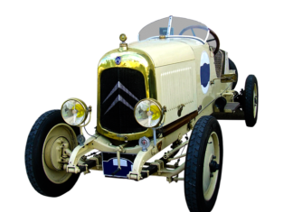 Czy jajka mają B12?