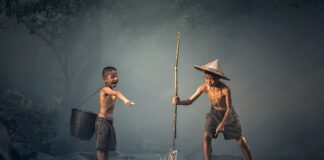 Ile razy w tygodniu powinno się jeść ryby? Ile razy w tygodniu powinno się jeść ryby?