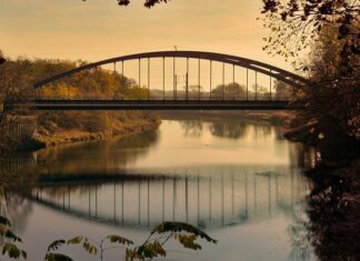 Czy można zabierać ryby z Odry 2023?