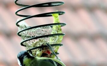 Co zrobić żeby mieć więcej pokarmu w piersiach?