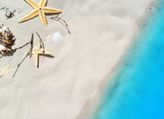 Czy małże i mule to to samo? Czy małże i mule to to samo?