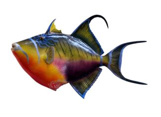 Czy rybę obtacza się w mące?