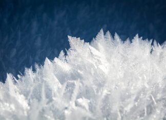 Czego nie powinno się zamrażać?