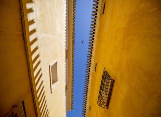 W czym podawac mule?