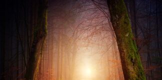 Jak długo dziecko może chodzić na palcach?