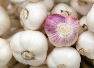 W którym miesiącu dziecko trzyma główkę?