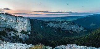 W jakim wieku dziecko mówi pierwsze słowo?