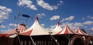 Czym się różni pajac od śpiochów?