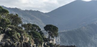 Ile kosztuje RC Drift?