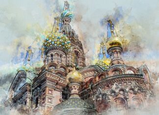 Jak wygląda przelany kaktus?