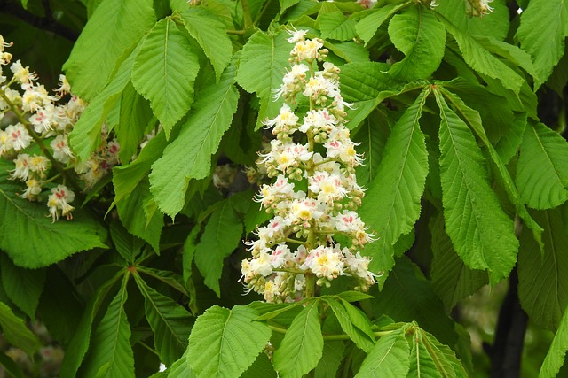 Ile trzeba mieć żeby zdać maturę? Ile trzeba mieć żeby zdać maturę?