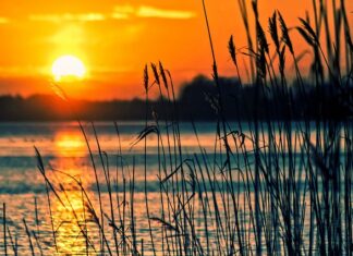 Jakie to są instrumenty Niemelodyczne?