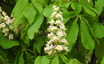 Co zostało usunięte z matury z chemii?