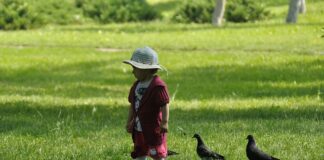 Co na Dzień Dziecka dla 2 latka?