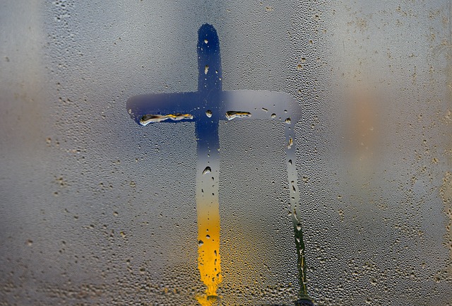 Jakiej firmy kapcie do żłobka? Jakiej firmy kapcie do żłobka?